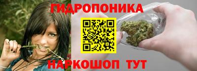 мдма Кингисепп