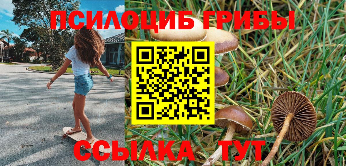 Галлюциногенные грибы Psilocybine cubensis Красноармейск